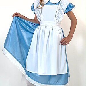 Alice In Wonderland Costume Big Kids 12-14 Teen Tween EUC Halloween Dress Up